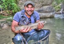 Fly-fishing Image of Brown trout shared by Roberto Catapano – Fly dreamers