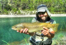 Roberto Catapano 's Fly-fishing Photo of a Brown trout – Fly dreamers 