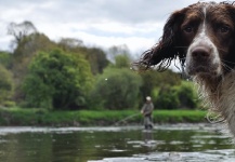 Fly-fishing Situation Picture by Nick  Denbow 