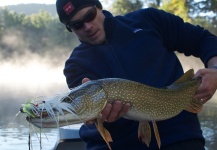Rich Strolis 's Fly-fishing Pic of a Pike – Fly dreamers 