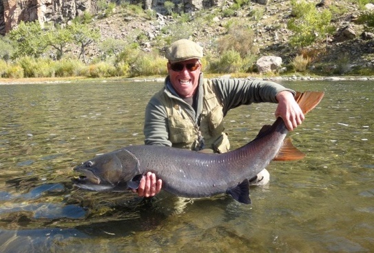 Taimen caught at FishMongolia's protected river. Every fish is a trophy!