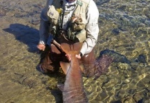  Taimen - HuchoHucho perryi capturada por Fin Chasers Magazine en Mongolia –Pesca con Mosca