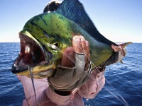 Foto de pesca con mosca