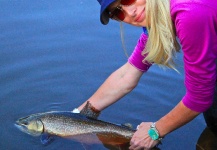Rebekka  Redd 's Fly-fishing Catch of a Tiger Trout – Fly dreamers 
