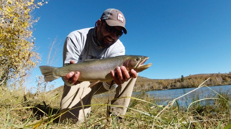 These large trout were in the shallows foraging for small crayfish.  Probably the closest thing to flats fishing you can get in Utah.  