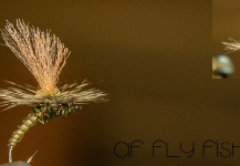 Fly Tying