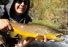  Foto de Pesca con Mosca de Trucha marrón compartida por Brett Ritter – Fly dreamers