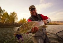 Niccolo Baldeschi Balleani 's Fly-fishing Pic of a Lenok trout – Fly dreamers 