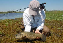  Fotografía de Pesca con Mosca de Tararira por Martin Tagliabue – Fly dreamers