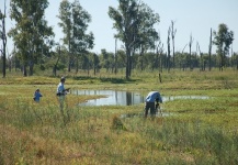  Tararira – Genial Situación de Pesca con Mosca – Por Martin Tagliabue