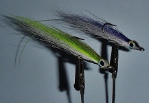 Jack Denny 's Fly for False Albacore - Little Tunny - Image – Fly dreamers 