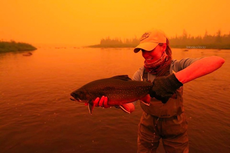 Big Brookie is the smokey forest fire air of Labrador. 