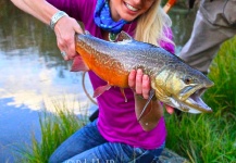 Rebekka  Redd 's Fly-fishing Image of a Tiger Trout – Fly dreamers 