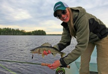 Rebekka  Redd 's Fly-fishing Image of a Walleye – Fly dreamers 