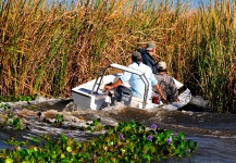 Ibera Marsh