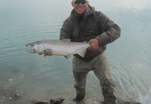 Don Duffer 's Fly-fishing Photo of a Silver salmon – Fly dreamers 