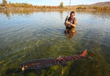 Fly-fishing Image of Taimen shared by Jan Haman – Fly dreamers