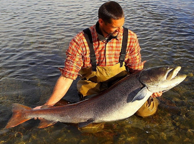 Olivier and Martin, our fishing friends and clients from Germany, with an unofficial Taimen world-record on fly, in October near our Taimen Camp at the Selenga, - 155 cm / 62 inches.