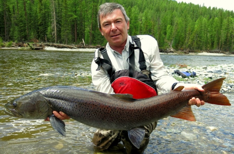 My fishing friend and partner Peter with one of his 1.478 Taimen in 23 years of sport fishing in Mongolia, - here at our Delger Headwaters Taimen Expedition early this season 2013 ...