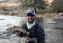 Fly-fishing Photo of Whitefish shared by Robert Gibbes – Fly dreamers 