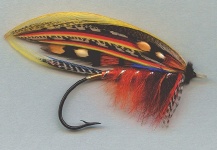 Fly-tying for Atlantic salmon - Picture by Mike Boyer 