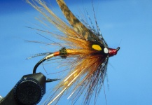 Salmon fly
