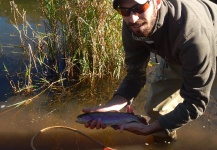 Rainbow Trout on the Allegheny River headwaters