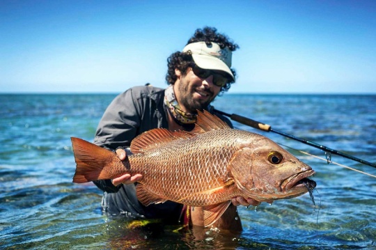 ✰ AB ✰ on Instagram: me 🤝 mangrove snapper use code AB20 for 20% off of  @baitium merch 🤍 . . . #baitium #ocean #saltwater #views #likes #water  #fish #fishing #girlsfishing #girlsfishbetter #fishingbabes❤️🎣 #girls  #mangrove #snapper #alabama