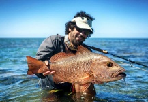 Fly-fishing Picture of Mangrove Snapper - Gray Snapper shared by Damien Brouste – Fly dreamers