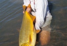 Lucas Darsie 's Fly-fishing Pic of a Golden Dorado – Fly dreamers 
