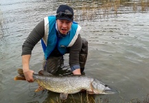  Fotografía de Pesca con Mosca de Lucio compartida por Mika Tuomela – Fly dreamers