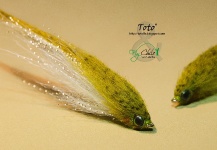 Interesting Fly-tying Picture by Rodrigo Torres 