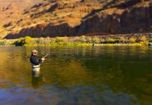 Steelheads in the Deschutes River and Grande Ronde River... Sturgeons in Columbia River, October 2013.