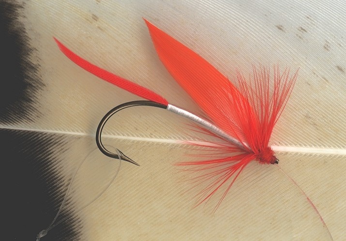 Fowler - Obscure wet fly. Ibis wing.