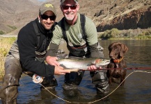 Fly-fishing Photo of Steelhead shared by Sergio Salvatore – Fly dreamers 