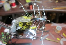 Jorge Villablanca 's Fly-tying Picture – Fly dreamers 