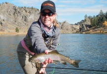 Fly-fishing Image of Rainbow trout shared by Shelly Ehmer – Fly dreamers