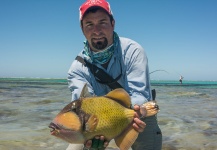  Fotografía de Pesca con Mosca de Triggerfish compartida por Michael Caranci – Fly dreamers