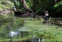  Situación de Pesca con Mosca de Trucha arcoiris – Imagen por Jack Hardman en Fly dreamers