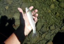 Jay Burman 's Fly-fishing Catch of a Cutthroat – Fly dreamers 