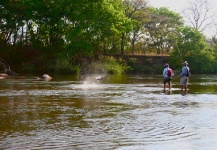 Tigerfish Fly-fishing Situation – Rudy Babikian shared this () Image in Fly dreamers 