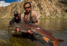 Fish Mongolia 2013 