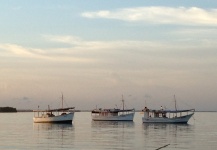 Pescas en Isla Margarita
