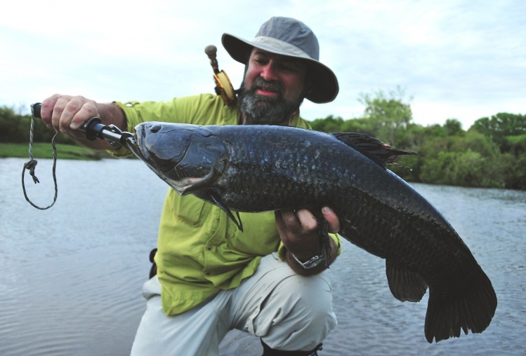 Fly fishing for blue wolf fish. Prehistoric guy