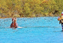  Excelente Situación de Pesca con Mosca de Trucha arcoiris– Foto por Ted Bryant en Fly dreamers