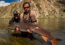  Imagen de Pesca con Mosca de Taimen - HuchoHucho perryi por Mark Johnstad – Fly dreamers