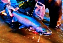 Impressive Fly-fishing Art Picture by Ted Bryant 