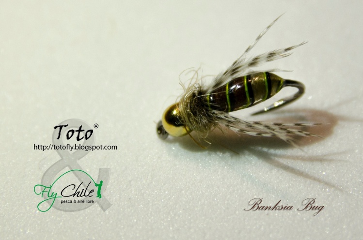 La Banksia Bug, una hermosa mosca creada por Jay Zimmerman, tratando de imitar a las free-living caddis larva de los ríos cercanos a su hogar.
Más info en: <a href="http://totofly.blogspot.com.ar/2013/10/la-banksia-bug.html">http://totofly.blogspot.com.ar</a>