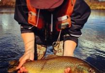  Fotografía de Pesca con Mosca de Trucha marrón compartida por Blake Hunter – Fly dreamers