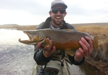  Fotografía de Pesca con Mosca de Trucha marrón por Scott Robertson – Fly dreamers